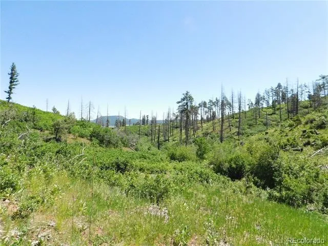 8249 Yuma Circle Larkspur, CO 80118
