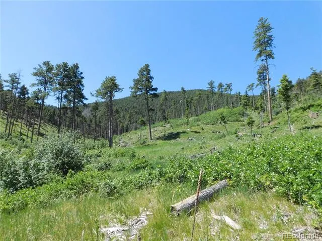 8249 Yuma Circle Larkspur, CO 80118
