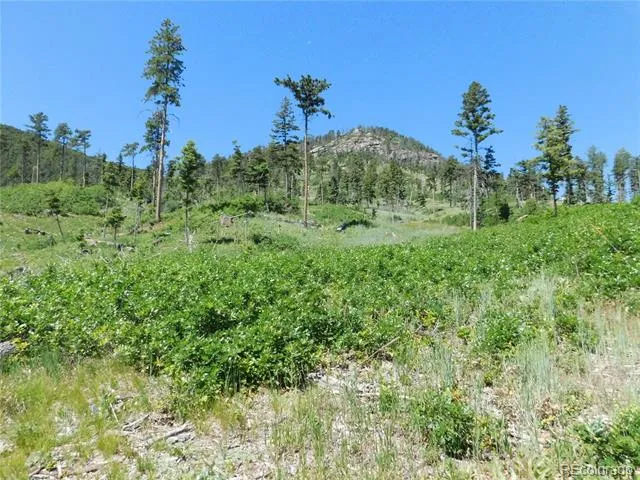 8249 Yuma Circle Larkspur, CO 80118