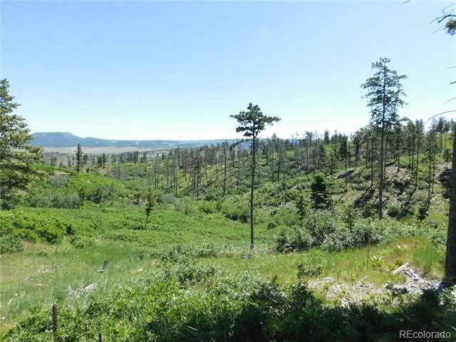 8249 Yuma Circle Larkspur, CO 80118
