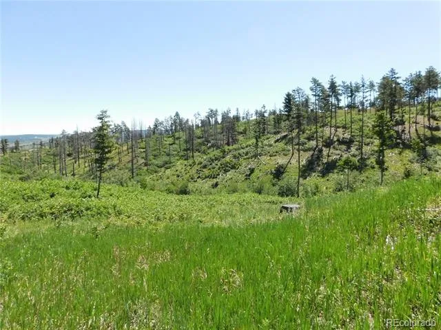 8249 Yuma Circle Larkspur, CO 80118