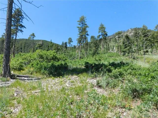 8249 Yuma Circle Larkspur, CO 80118