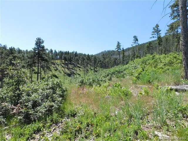 8249 Yuma Circle Larkspur, CO 80118