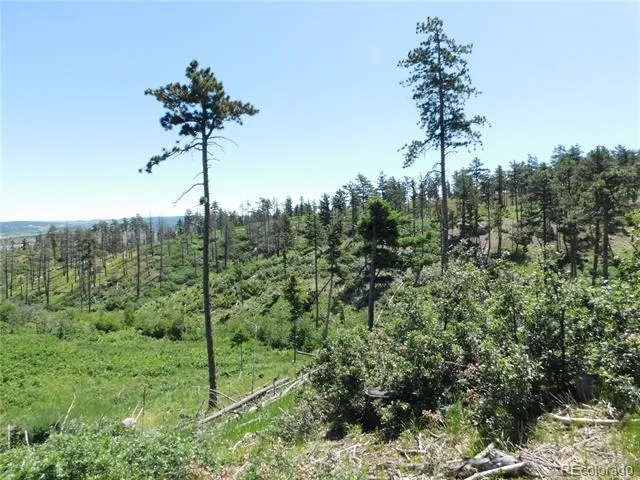 8249 Yuma Circle Larkspur, CO 80118