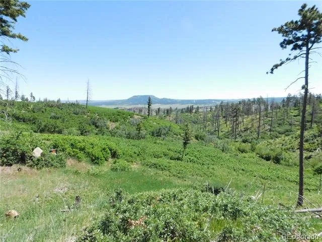 8249 Yuma Circle Larkspur, CO 80118
