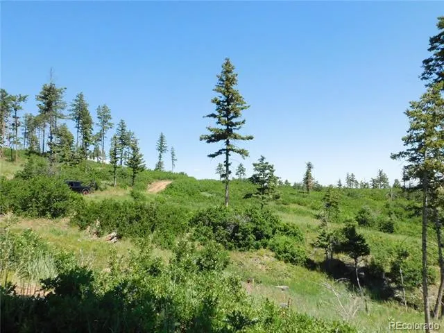 8249 Yuma Circle Larkspur, CO 80118