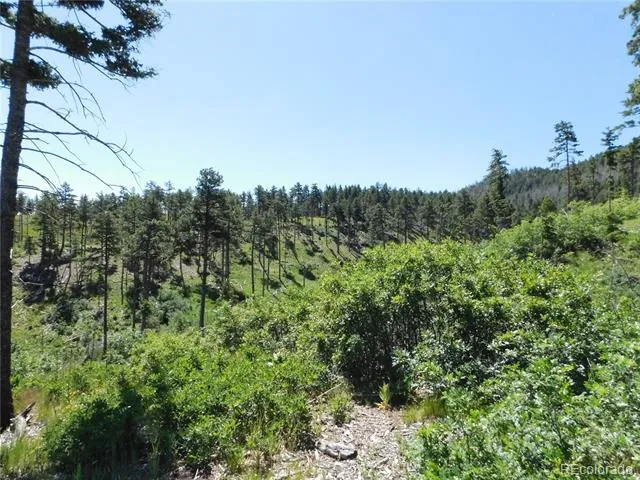 8249 Yuma Circle Larkspur, CO 80118