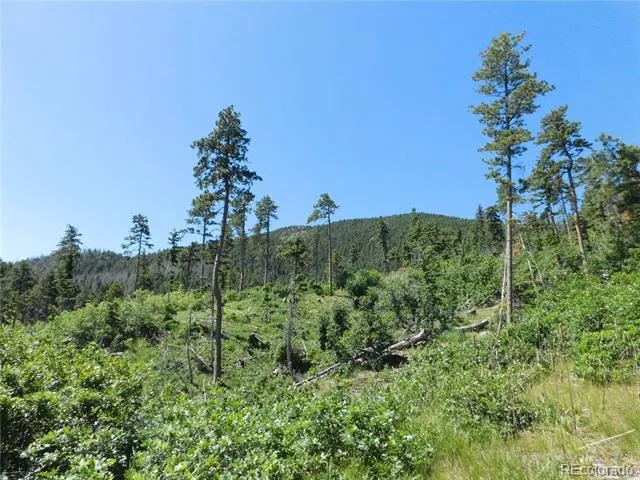 8249 Yuma Circle Larkspur, CO 80118
