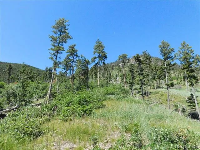 8249 Yuma Circle Larkspur, CO 80118