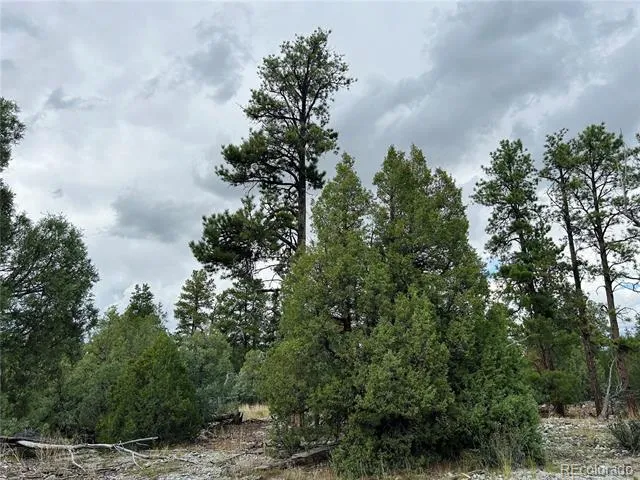 Pawnee Place Mosca, CO 81146