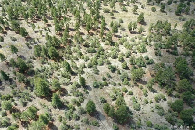 Pawnee Place Mosca, CO 81146