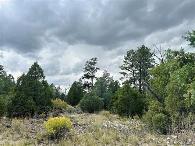 Pawnee Place Mosca, CO 81146