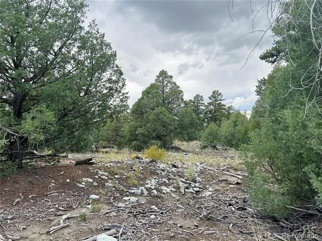 Pawnee Place Mosca, CO 81146