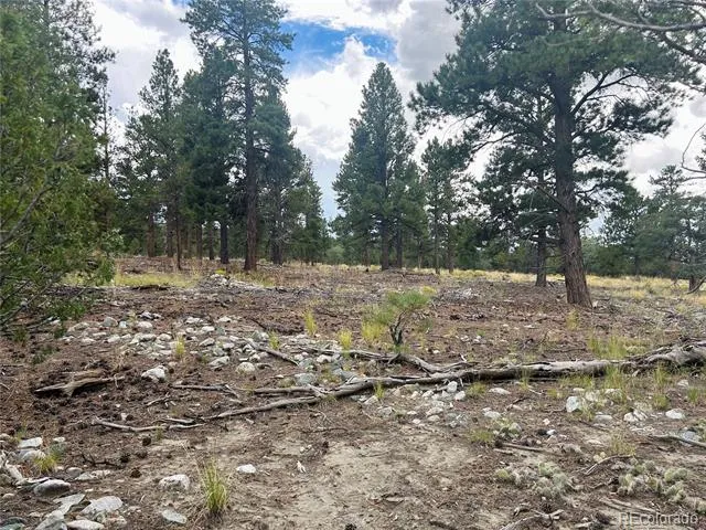 Pawnee Place Mosca, CO 81146