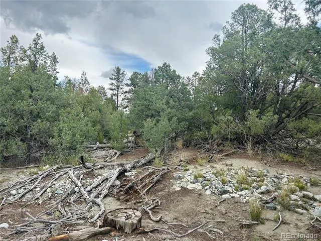 Pawnee Place Mosca, CO 81146