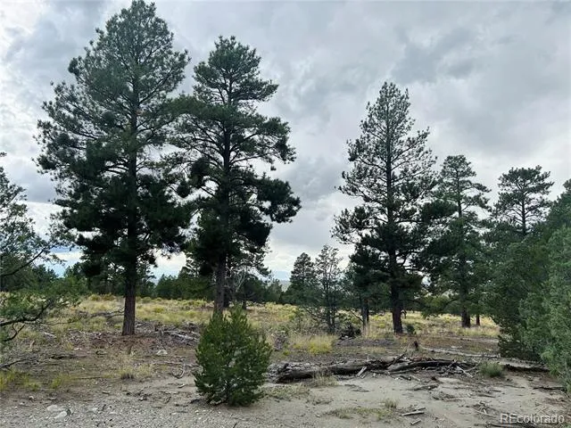 Pawnee Place Mosca, CO 81146