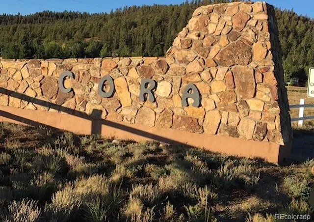 44 Clubcar Road Hartsel, CO 80449