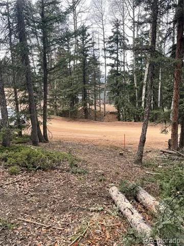222 Banner Trail Florissant, CO 80816