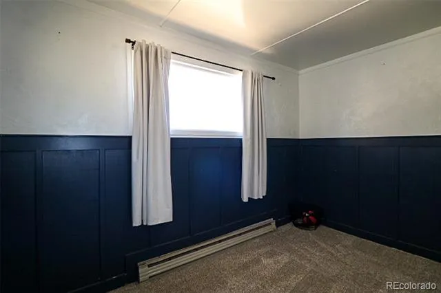 731 Midland Court Lake George, CO 80827