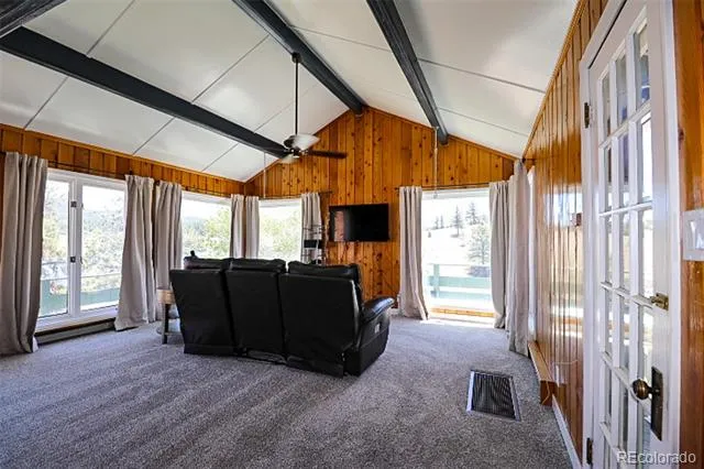 731 Midland Court Lake George, CO 80827