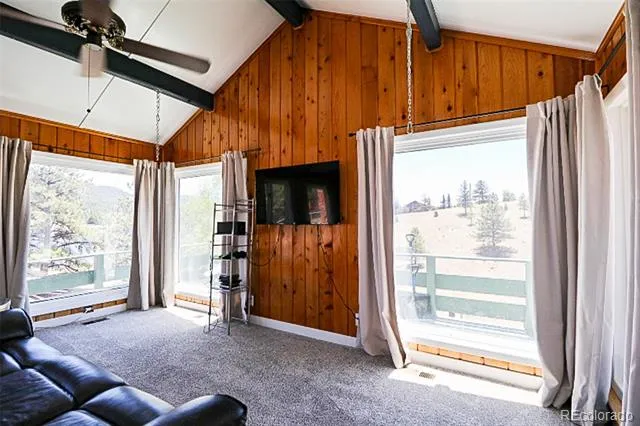 731 Midland Court Lake George, CO 80827
