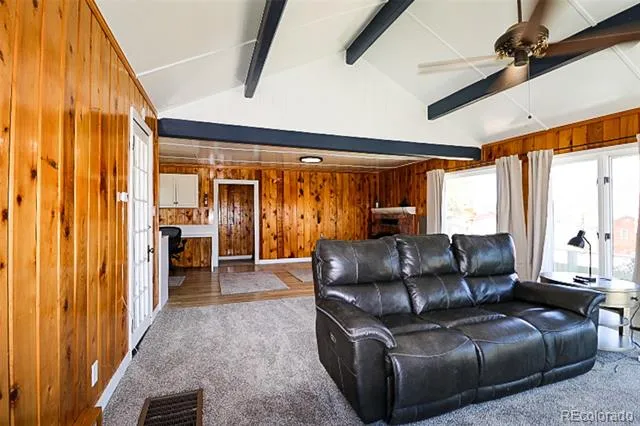 731 Midland Court Lake George, CO 80827