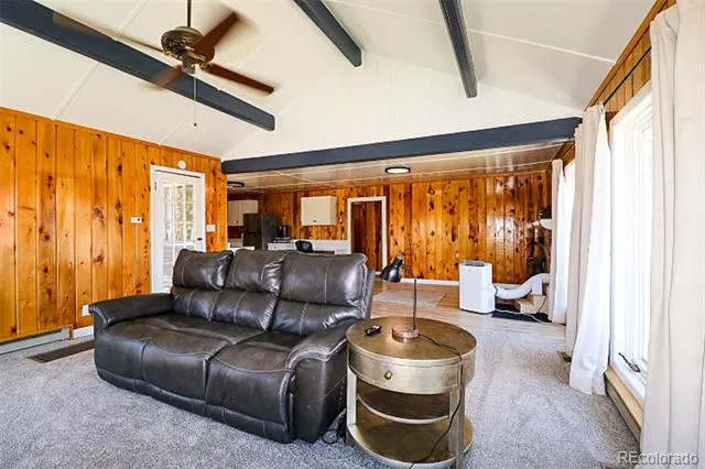 731 Midland Court Lake George, CO 80827