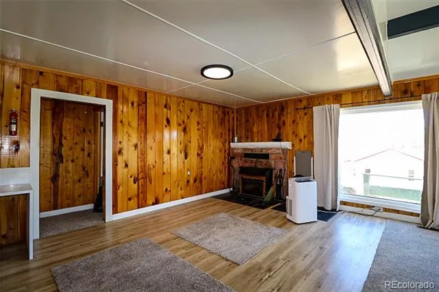 731 Midland Court Lake George, CO 80827