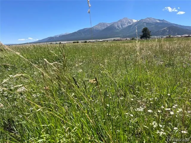 15972 County Road 306 Buena Vista, CO 81211