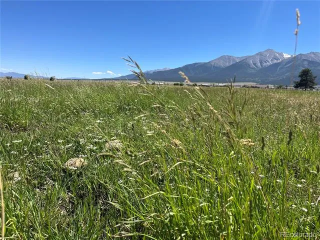 15972 County Road 306 Buena Vista, CO 81211