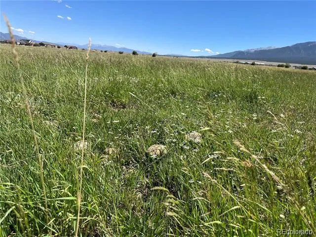 15972 County Road 306 Buena Vista, CO 81211