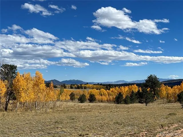 2387 Buffalo Ridge Road Como, CO 80432