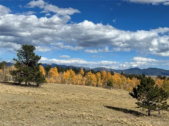 2387 Buffalo Ridge Road Como, CO 80432