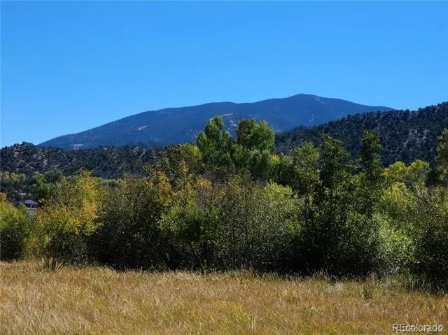 1109 E Ouray Avenue Poncha Springs, CO 81242