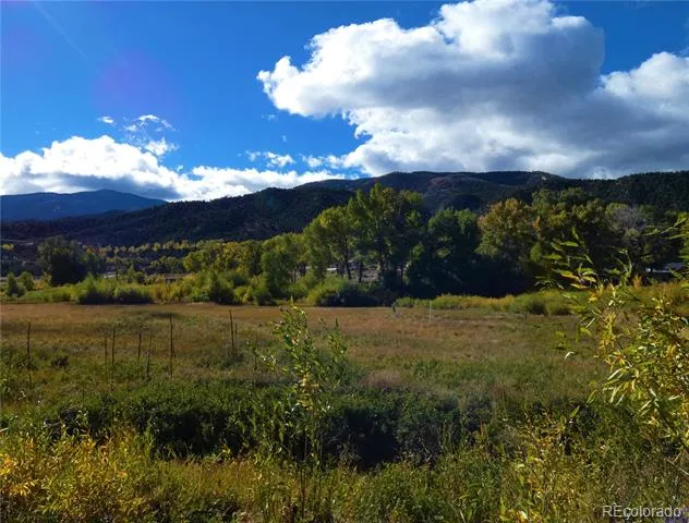 1109 E Ouray Avenue Poncha Springs, CO 81242