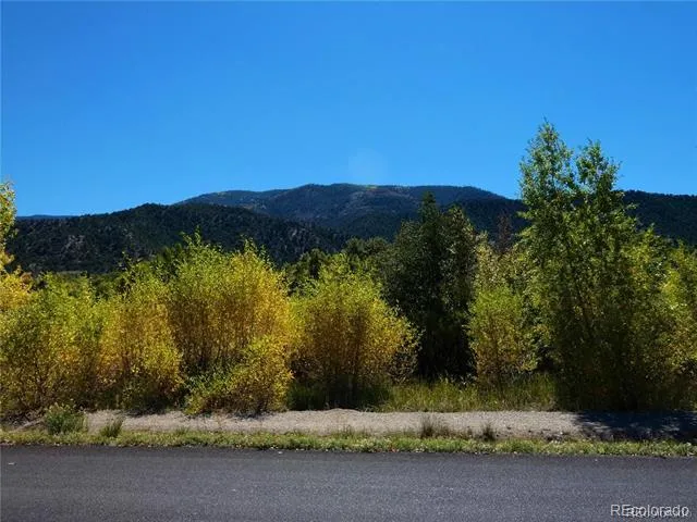 1109 E Ouray Avenue Poncha Springs, CO 81242