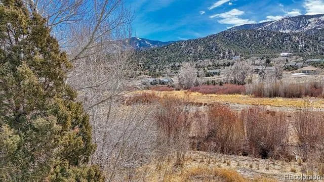 1109 E Ouray Avenue Poncha Springs, CO 81242