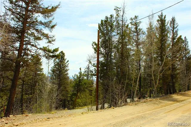 2882 Middle Fork Vista Fairplay, CO 80440