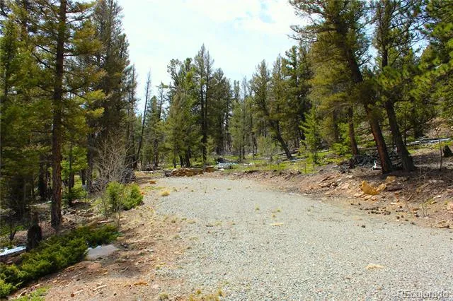 2882 Middle Fork Vista Fairplay, CO 80440