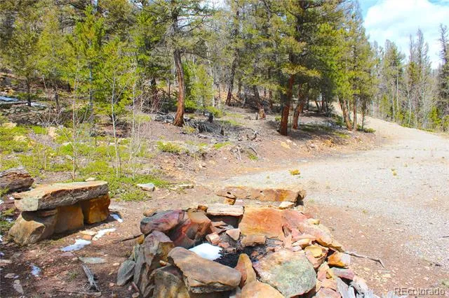 2882 Middle Fork Vista Fairplay, CO 80440