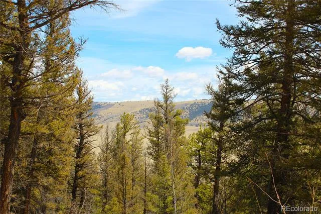 2882 Middle Fork Vista Fairplay, CO 80440