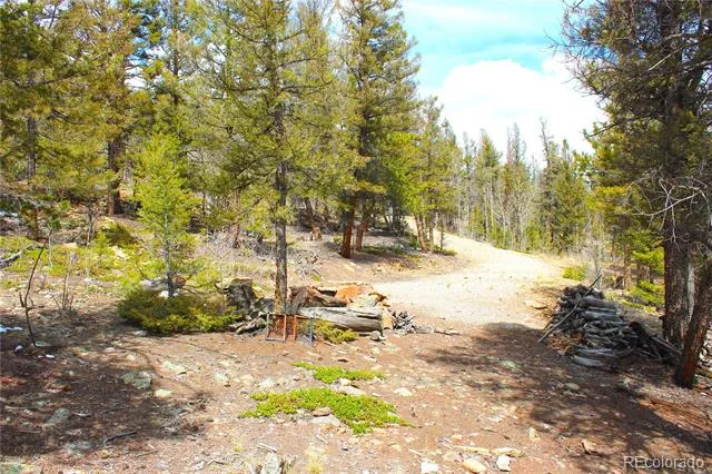 2882 Middle Fork Vista Fairplay, CO 80440