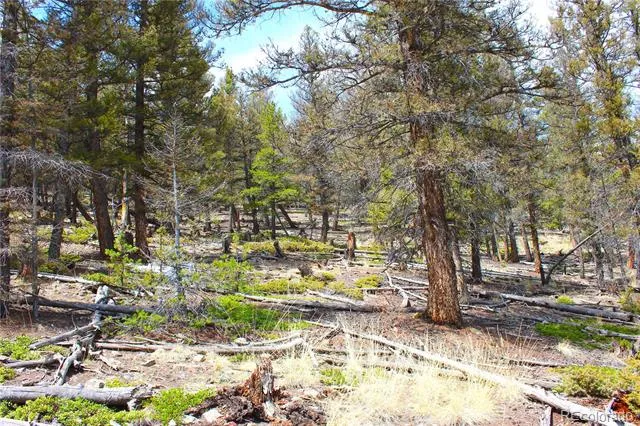 2882 Middle Fork Vista Fairplay, CO 80440