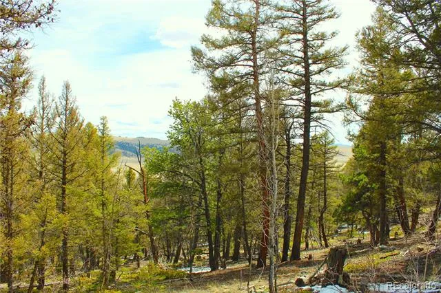 2882 Middle Fork Vista Fairplay, CO 80440