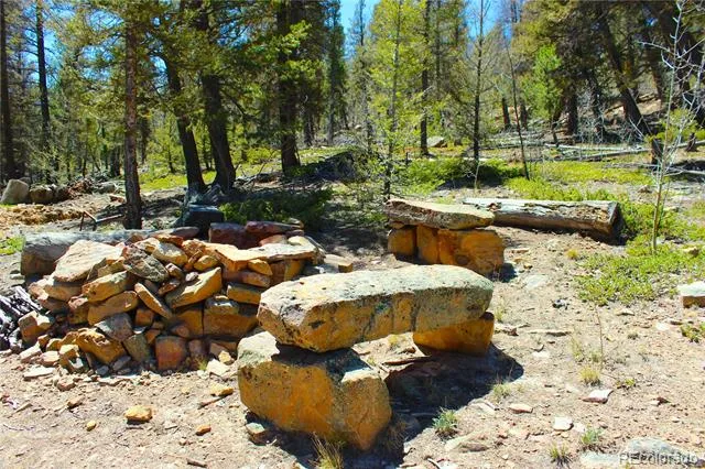 2882 Middle Fork Vista Fairplay, CO 80440