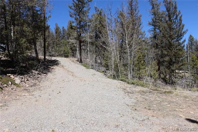 2882 Middle Fork Vista Fairplay, CO 80440