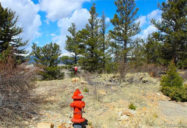 2882 Middle Fork Vista Fairplay, CO 80440