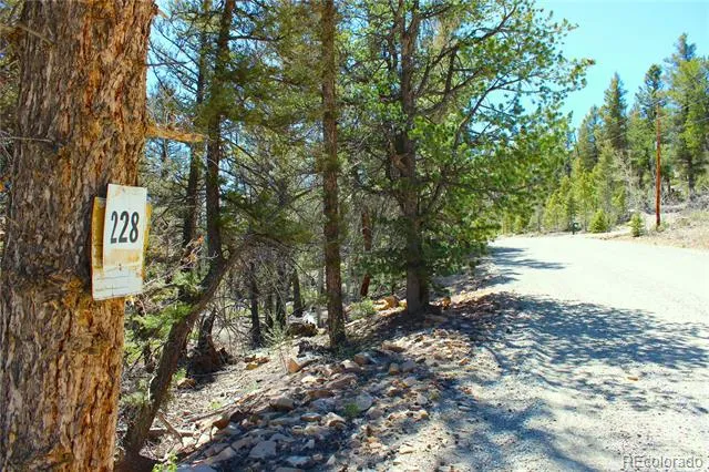2882 Middle Fork Vista Fairplay, CO 80440