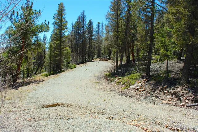 2882 Middle Fork Vista Fairplay, CO 80440