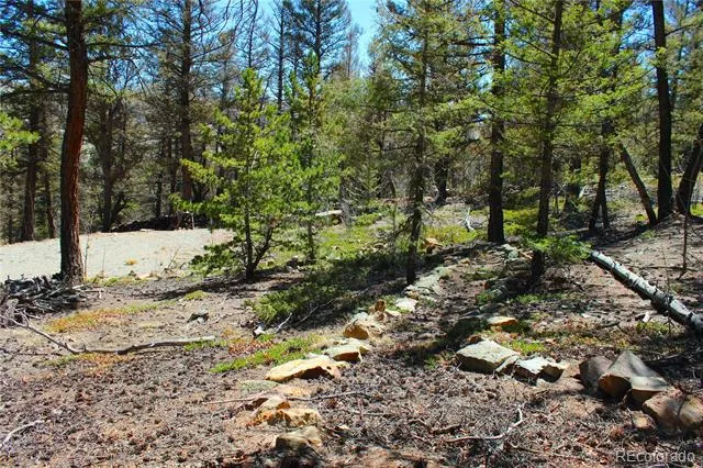 2882 Middle Fork Vista Fairplay, CO 80440